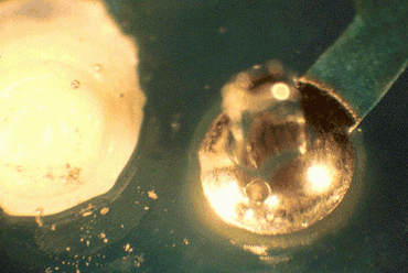 Figure 2: Pin Hole