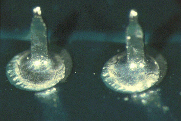 Figure 1: Here, the resist apertures are smaller than the pad size